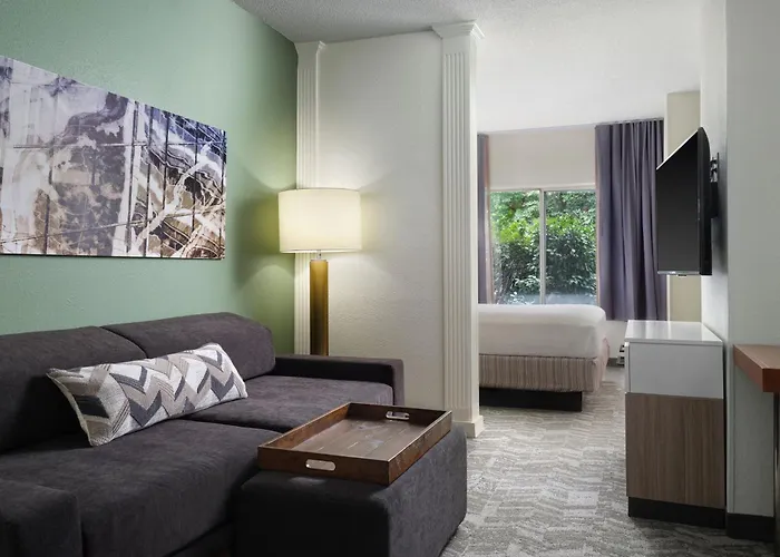 Springhill Suites Nashville Metrocenter